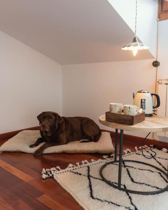 El Piolet De Apartamento